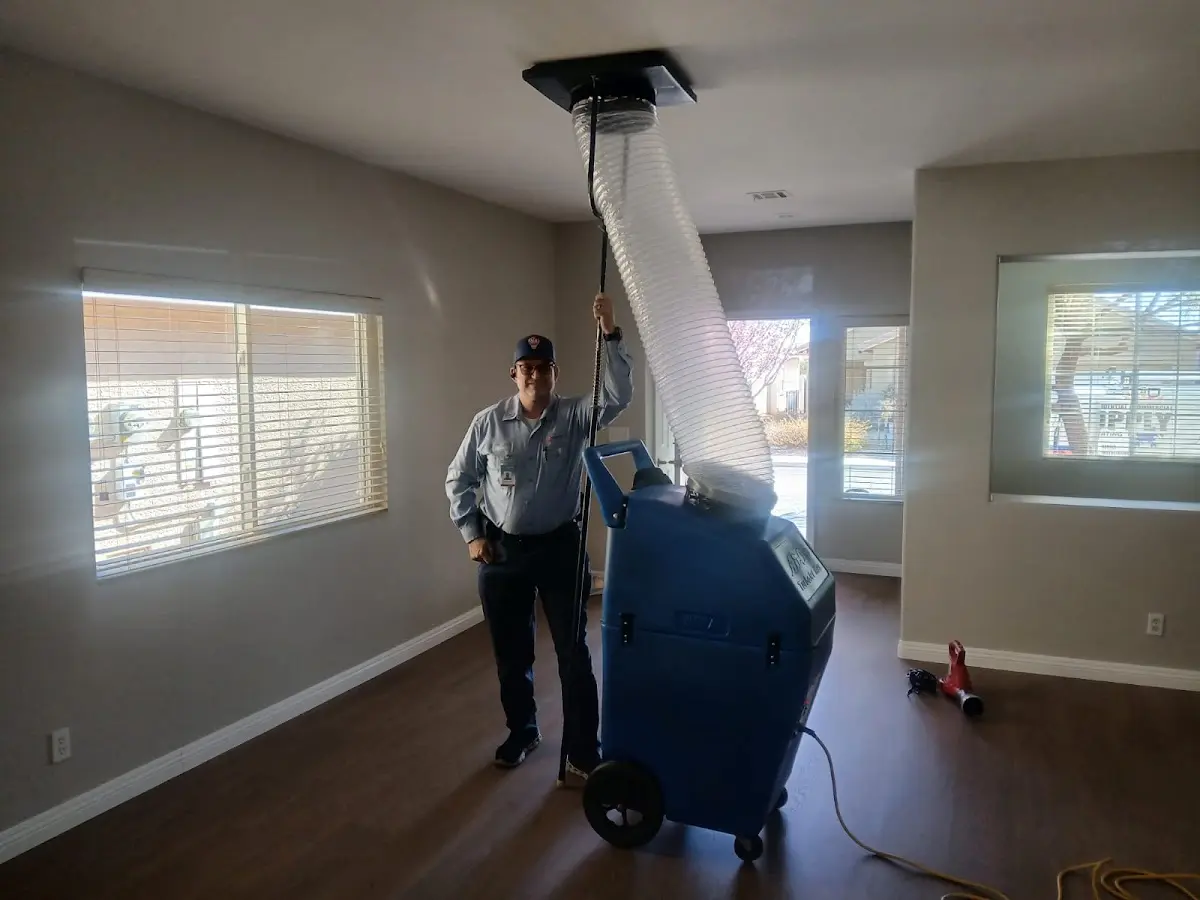 Professional Dryer Vent Cleaning work inside a Loveland home